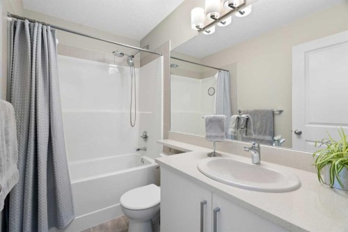 1306 Jumping Pound Common, Cochrane, AB - Indoor Photo Showing Bathroom
