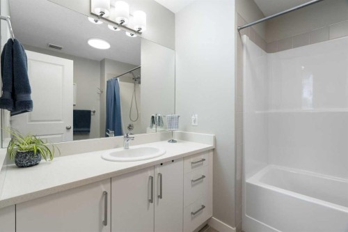 1306 Jumping Pound Common, Cochrane, AB - Indoor Photo Showing Bathroom
