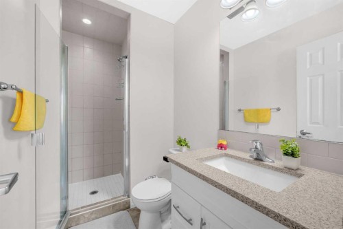 10767 Cityscape Drive Ne, Calgary, AB - Indoor Photo Showing Bathroom