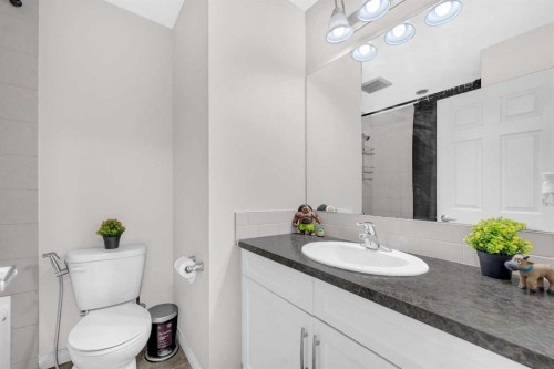 10767 Cityscape Drive Ne, Calgary, AB - Indoor Photo Showing Bathroom