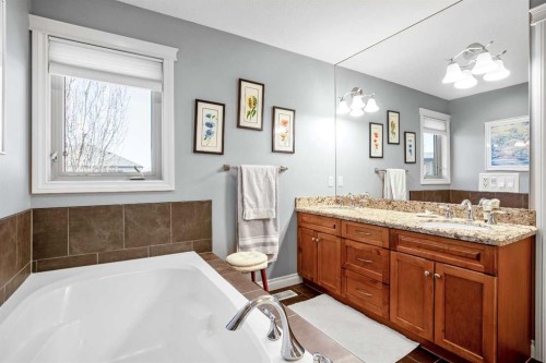 611 Montgomery Close Se, High River, AB - Indoor Photo Showing Bathroom
