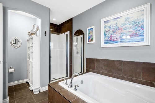 611 Montgomery Close Se, High River, AB - Indoor Photo Showing Bathroom