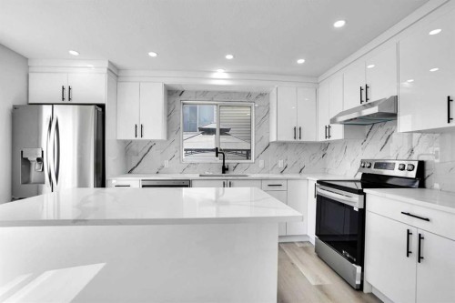 51 Martinridge Grove Ne, Calgary, AB - Indoor Photo Showing Kitchen With Stainless Steel Kitchen With Upgraded Kitchen