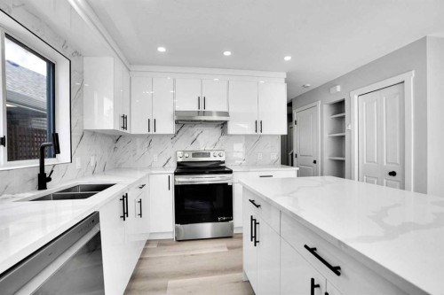 51 Martinridge Grove Ne, Calgary, AB - Indoor Photo Showing Kitchen With Double Sink With Upgraded Kitchen