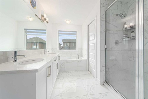 70 Saddlestone Green Ne, Calgary, AB - Indoor Photo Showing Bathroom