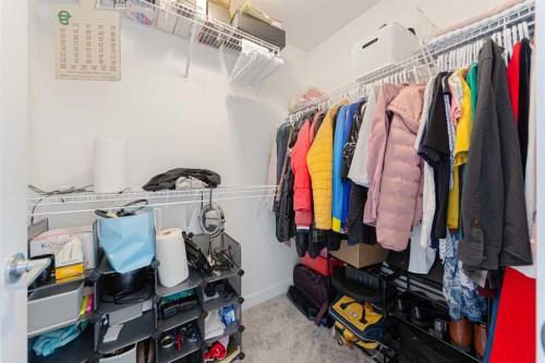 70 Saddlestone Green Ne, Calgary, AB - Indoor With Storage