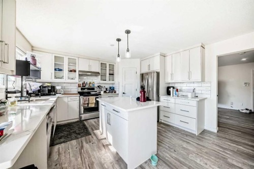 125 Coral Springs Bay Ne, Calgary, AB - Indoor Photo Showing Kitchen With Stainless Steel Kitchen With Upgraded Kitchen