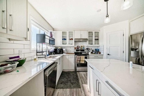125 Coral Springs Bay Ne, Calgary, AB - Indoor Photo Showing Kitchen With Stainless Steel Kitchen With Double Sink With Upgraded Kitchen