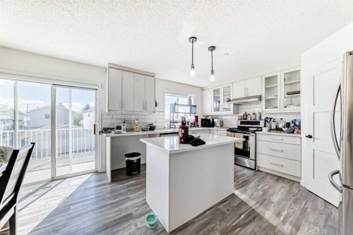 125 Coral Springs Bay Ne, Calgary, AB - Indoor Photo Showing Kitchen With Stainless Steel Kitchen With Upgraded Kitchen