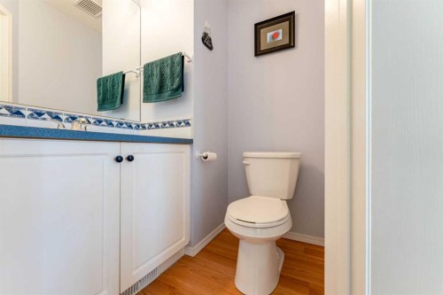 198 Somerside Park Sw, Calgary, AB - Indoor Photo Showing Bathroom