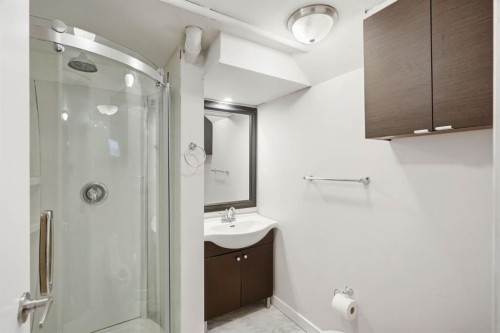 5212 Terry Road Nw, Calgary, AB - Indoor Photo Showing Bathroom