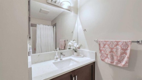 54 New Brighton Point Se, Calgary, AB - Indoor Photo Showing Bathroom