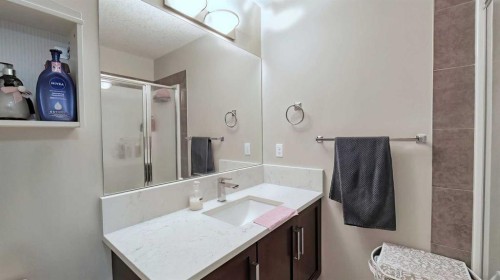 54 New Brighton Point Se, Calgary, AB - Indoor Photo Showing Bathroom