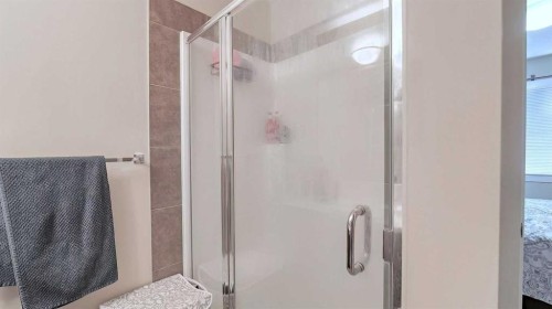 54 New Brighton Point Se, Calgary, AB - Indoor Photo Showing Bathroom