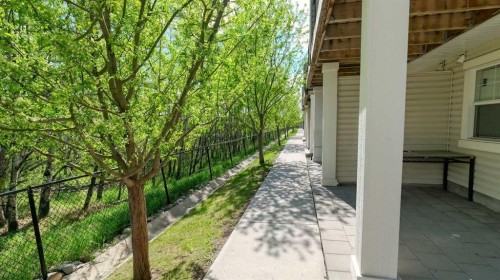 54 New Brighton Point Se, Calgary, AB - Outdoor