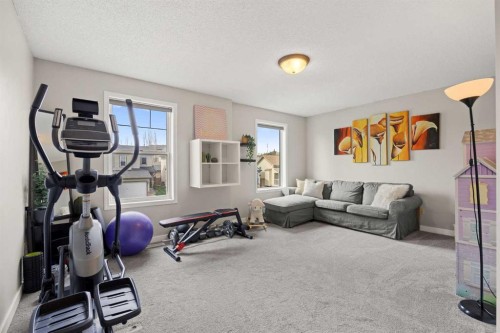 19 Covemeadow Crescent Ne, Calgary, AB - Indoor