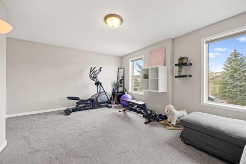 19 Covemeadow Crescent Ne, Calgary, AB - Indoor Photo Showing Gym Room
