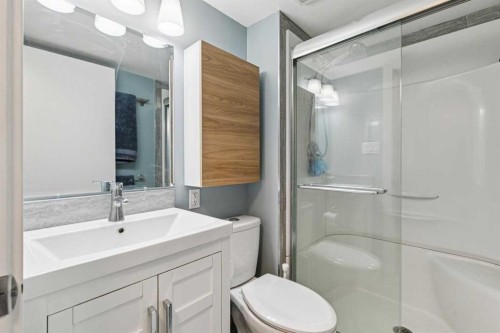 208-315 Heritage Drive Se, Calgary, AB - Indoor Photo Showing Bathroom