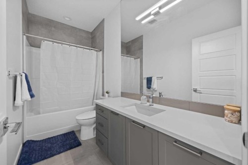10 Evansfield Green Nw, Calgary, AB - Indoor Photo Showing Bathroom