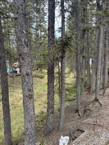 25 Timber Trail, Sundre, AB 