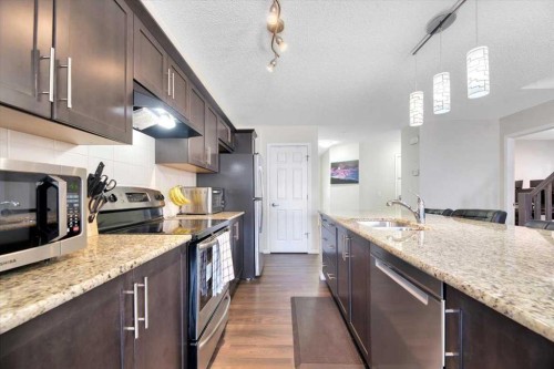 145 Viewpointe Terrace, Chestermere, AB - Indoor Photo Showing Kitchen With Upgraded Kitchen