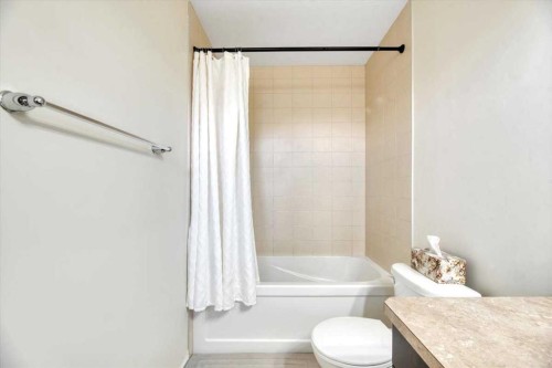 145 Viewpointe Terrace, Chestermere, AB - Indoor Photo Showing Bathroom