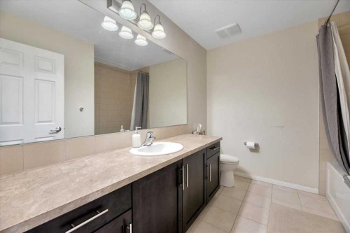 145 Viewpointe Terrace, Chestermere, AB - Indoor Photo Showing Bathroom