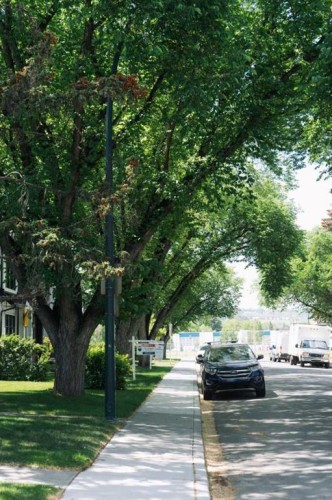 907 35A Street Nw, Calgary, AB 