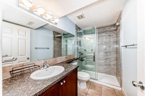 331 Royal Oak Heath Nw, Calgary, AB - Indoor Photo Showing Bathroom