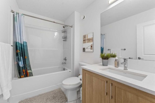 309 Baneberry Way Sw, Airdrie, AB - Indoor Photo Showing Bathroom