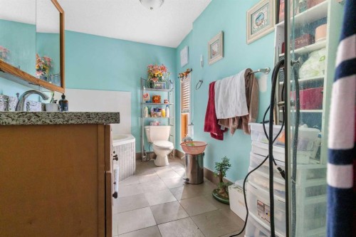 169 Beddington Circle Ne, Calgary, AB - Indoor Photo Showing Bathroom