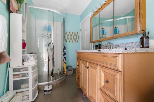 169 Beddington Circle Ne, Calgary, AB - Indoor Photo Showing Bathroom