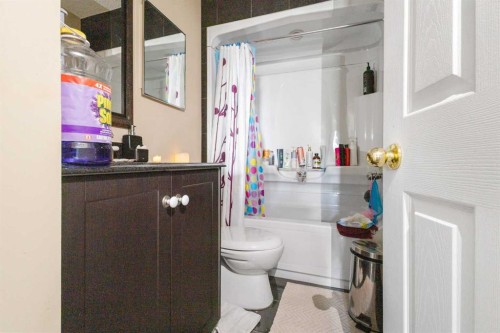 169 Beddington Circle Ne, Calgary, AB - Indoor Photo Showing Bathroom