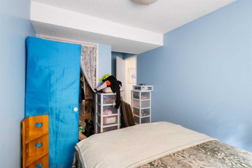 169 Beddington Circle Ne, Calgary, AB - Indoor Photo Showing Bedroom