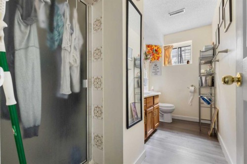 169 Beddington Circle Ne, Calgary, AB - Indoor Photo Showing Bathroom