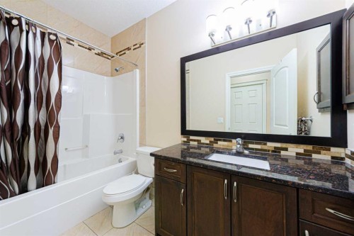 220 Saddlelake Drive Ne, Calgary, AB - Indoor Photo Showing Bathroom