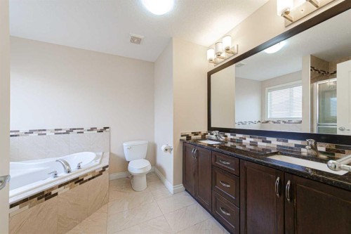 220 Saddlelake Drive Ne, Calgary, AB - Indoor Photo Showing Bathroom