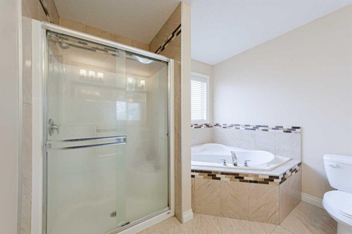 220 Saddlelake Drive Ne, Calgary, AB - Indoor Photo Showing Bathroom
