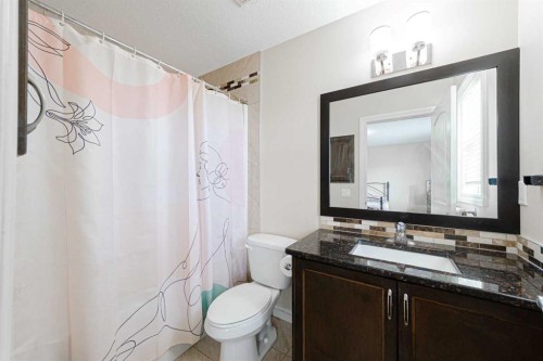220 Saddlelake Drive Ne, Calgary, AB - Indoor Photo Showing Bathroom