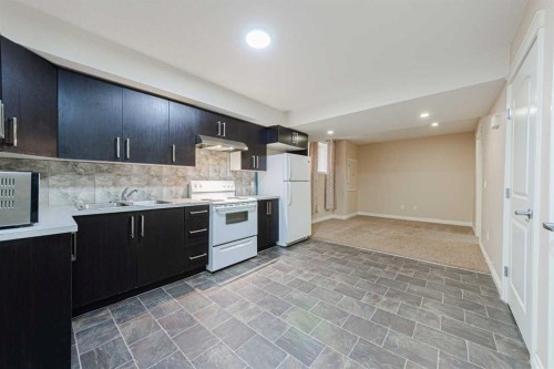 220 Saddlelake Drive Ne, Calgary, AB - Indoor Photo Showing Kitchen With Double Sink