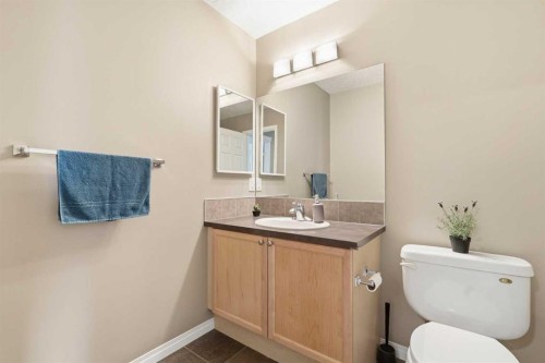 213 Silverado Drive Sw, Calgary, AB - Indoor Photo Showing Bathroom
