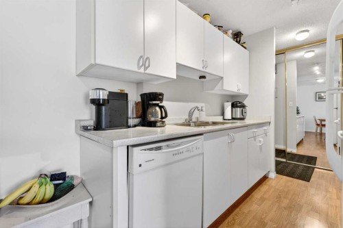 11D-80 Galbraith Drive Sw, Calgary, AB - Indoor Photo Showing Kitchen With Double Sink