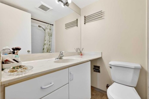 11D-80 Galbraith Drive Sw, Calgary, AB - Indoor Photo Showing Bathroom