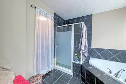 247 Pantego Way Nw, Calgary, AB - Indoor Photo Showing Bathroom