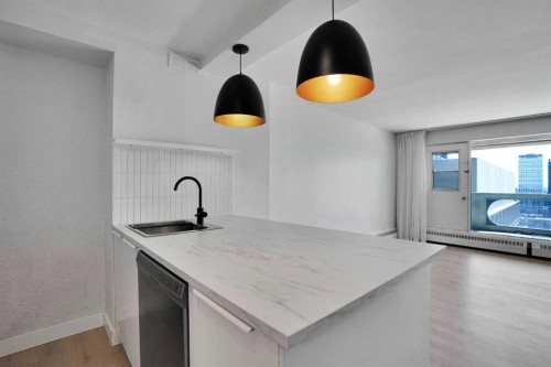 2205-221 6 Avenue Se, Calgary, AB - Indoor Photo Showing Kitchen