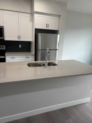 619 Savanna Crescent Ne, Calgary, AB - Indoor Photo Showing Kitchen With Stainless Steel Kitchen With Double Sink