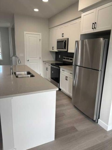 619 Savanna Crescent Ne, Calgary, AB - Indoor Photo Showing Kitchen With Stainless Steel Kitchen With Double Sink