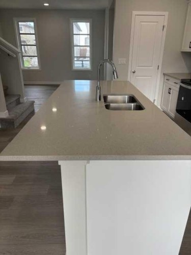 619 Savanna Crescent Ne, Calgary, AB - Indoor Photo Showing Kitchen With Double Sink