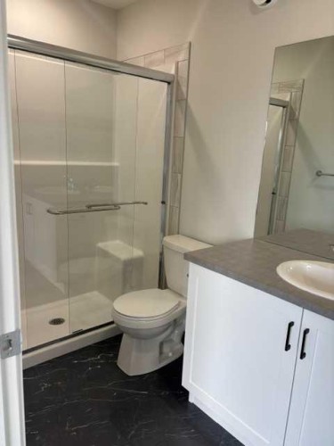619 Savanna Crescent Ne, Calgary, AB - Indoor Photo Showing Bathroom