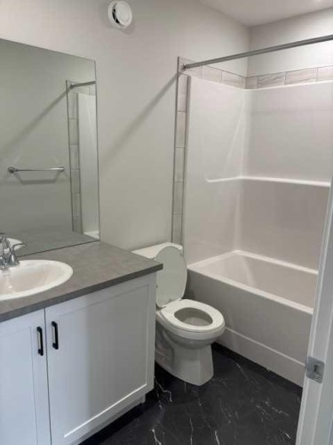 619 Savanna Crescent Ne, Calgary, AB - Indoor Photo Showing Bathroom